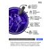 NaturaBerry Blueberry Concentrate 700gr - Buy Online on GoSupps.com