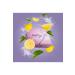 Nerox Tea Detox Tea 60 Pack 1 Month Use Detox - Buy Online on GoSupps.com