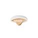 YADAH Be My Cushion Foundation No.21 (WHITE SKIN) - Spf 50 - Buy Online on GoSupps.com