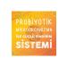 Nutrinew Vitamins Nutrinew Probiotic Microorganism 20 Sachet X 3 gr - Buy Online on GoSupps.com