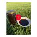 Nespresso Vanilla Eclair- Capriccio- Palermo Kazaar- Cape Town and Volluto Decaf Capsule Coffee 5x10 Lu