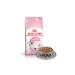 Priorin Intense 60 Hair Loss Prevention Capsule