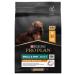 SEA FOOD Seafood Sushi Seaweed Yaki Sushi Nori Gold Premium 10 Sheets X 3 Pack