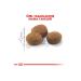 Royal Canin Sterilised +7 Sterilised Senior Cat Food 3.5 Kg. - Buy Online on GoSupps.com