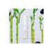Dazzling White Teeth Whitening Gel - Buy Online on GoSupps.com