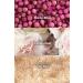 Avon Far Away Shine Body Lotion 125 Ml. Triple Set - Buy Online on GoSupps.com