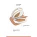 Avene Beige Compact SPF 50+ Mineral Filter Compact Light Color High Protection Sunscreen 10 gr - Buy Online on GoSupps.com