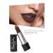 Pierre Cardin Porcelain Matte Edition Lipstick - Brown Red - 218