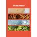 Bellflower f Red Repairing Revitalizing Anti-Aging and Plumping Serum with Red Ginseng 30ml - Buy Online on GoSupps.com