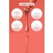 Bellflower f Red Repairing Revitalizing Anti-Aging and Plumping Serum with Red Ginseng 30ml - Buy Online on GoSupps.com