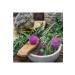 Nars EXPLICIT LIPSTICK Comfortable Satin Finish Lipstick Seed Oil Hyaluronic Acid 3.8 g - Buy Online on GoSupps.com