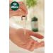 THE BODY SHOP Tea Tree Tea Tree Daily Serum 50 ml - Buy Online on GoSupps.com