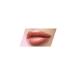 Golden Rose Plumped Lips Lip Plumping Gloss No: 205 - Plumping Lip Gloss - 8691190528515 - Buy Online on GoSupps.com