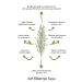 QUR Organic Rosemary Water Anti-Dandruff and Hair Loss Skin Cleanser Oil Balancer - Buy Online on GoSupps.com