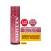 Burt's Bees Tinted Lip Balm Daisy 4.25 Gr