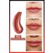 L'Oreal Paris Infaillible 2-step 24 Hour Liquid Lipstick & Balm - 312 Incessant Russet - Buy Online on GoSupps.com