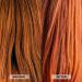 L'anza Healing ColorCare Color-Preserving Shampoo 10.1 oz - Transform Your Style with the Best Innovation Today! - Buy Online on GoSupps.com