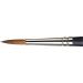 Winsor & Newton Professional Watercolor Sable Brush-Round #6 - Buy Online on GoSupps.com