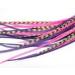 Genuine 4"- 7" Pinks & Purples Feathers for Hair Extension! 5 Feathers
