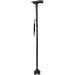Walking Stick Elderly Folding Walking Cane Aluminum Support Crutches Telescopic Anti Slip Four Leg Adjustable Stick with LED Light SOS Alarm Bathing in Sunlight - Buy Online on GoSupps.com