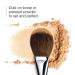 Clinique Powder Brush - Transform Your Style with the Best Innovation Today! - Buy Online on GoSupps.com