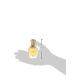 Rasasi Mushreqah Concentrated Perfume Oil 0.5 Ounce (Unisex) warm and spicy 0.5 Fl Oz (Pack of 1) - Buy Online on GoSupps.com