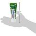 Dentagard Original Toothpaste 75 ml - Best International Shipping | Fresh Breath & Healthy Teeth - Buy Online on GoSupps.com