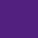 Buy Stargazer Purple Liquid Eyeliner - 10g | International Shipping Available - Buy Online on GoSupps.com