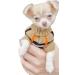 Chihuahua Clothes Puppy Plaid Dog Coat Knit Jumper Cosy Tiny Toy Teacup Sized Smaller Breeds XXXS XXS XS (Tartan XXXS) XXXS Tartan - Buy Online on GoSupps.com
