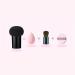 Makeup Sponge Non-latex Makeup Sponge Mushroom Head Powder Liquid Foundation Puff Dry & Wet Multi- function Cosmetic Tool Tamp Storage Box Makeup Sponge Holder(Black no cap) - Buy Online on GoSupps.com