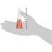 Joan Collins Timeless Beauty Nail Lacquer 12 ml Suzy Starr - Buy Online on GoSupps.com