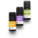 Altenya Organic Essential Oil Set - Bio-Certified Lavender Mandarins & Lemongrass (3 Bottles 0.17 fl oz | 5 ml) - Pure Essential Oils & Carrier Oil for Aromatherapy - Buy Online on GoSupps.com