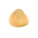 Goldwell Topchic Hair Color 9NN Light-Light Blonde Extra | 60ml Pack - International Shipping Available - Buy Online on GoSupps.com