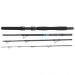 Dega ExxPure Travel rods 4-piece (length 2.10 m / casting weight 25 - 35 lbs)