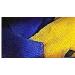 African Bathing Sponge Set - 3 Pack | Exfoliating Shower Sponges - Buy Online on GoSupps.com