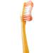 Colgate Wave Compact Head Toothbrush Comfort Fit Soft - 6 Pack - Buy Online on GoSupps.com