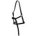 Cwell Equine FOAL LEATHER HEAD COLLAR HALTER BLACK - Buy Online on GoSupps.com