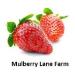 Organic Non-GMO Hulled Barley 5 Pounds - Product of USA | Mulberry Lane Farms - Buy Online on GoSupps.com