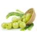 Amla Hair Oil 100ml (Alamgeer) - Buy Online on GoSupps.com