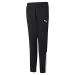 PUMA Kids' Teamliga Training Pants Medium Puma Black-puma White