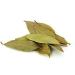Premium Shudh Bay Leaf (Tej Patta) Whole Spice 3.5oz - All Natural, Gluten Friendly, NON-GMO, Vegan - Indian Origin - Buy Online on GoSupps.com