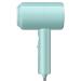 Professional Mute Hair Care Quick Dry Hair Dryer Salon Negative Ion Blower for Home Bathroom Dryer Strong Wind Electric Hair dry (Green)