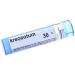 Kreosotum 30c by BOIRON - Homeopathic Remedy for Health | Fast International Shipping - Buy Online on GoSupps.com