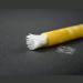 Golden Miswak Sticks - Natural Muslim Tooth Stick with Condensed Extract for Whiter Teeth and Healthy Gums - 8 Inch Yellow Toothbrush for Oral Health (1 Count) - Buy Online on GoSupps.com