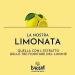 Lurisia LIMONATA con stratto delle tre flourishes del limone LEMONADE with extract of the three lemon flowers 24 x 275 ml - Buy Online on GoSupps.com