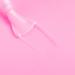 Bluesky Gel Nail Polish Strawberry Cream - PN01 Pastel Neon Pink Long Lasting Chip Resistant 5ml (Requires Drying Under UV LED Lamp) Pastel Pink 5 ml (Pack of 1) - Buy Online on GoSupps.com