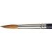 Winsor & Newton Professional Watercolor Sable Brush-Round #8 | Fine Point Artist Brush - Buy Online on GoSupps.com