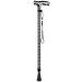 Canes Walking Stick Silver Engraved Flecked Stripes Pattern 10 Adjustable Heights with LED Light Lightweight Sturdy Aluminum Alloy Comfy Base for Men Women Star of Light