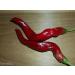 25+ Speciale Spazio Chili HJ-7 Super Pepper Nova organico Semi-D 67