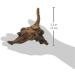 Buy Amtra A8047547 Mystic Wood 15-20 cm (Pack of 3) - Premium Aquarium Decoration for International Shipping - Buy Online on GoSupps.com